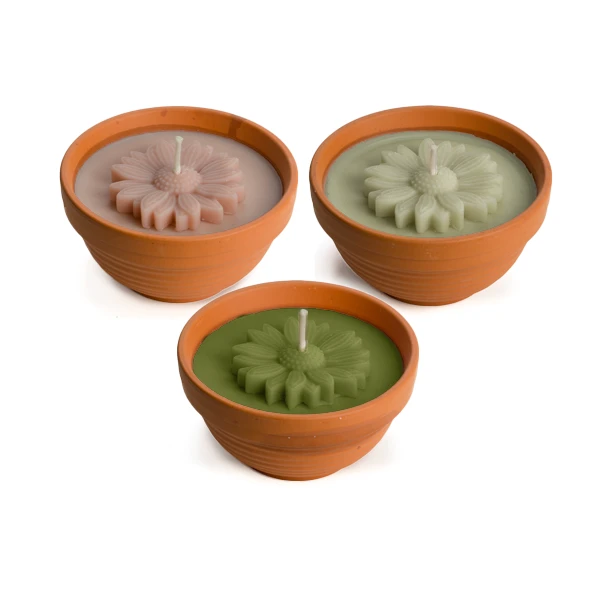 Bloem in keramieken potje voor outdoor gebruik