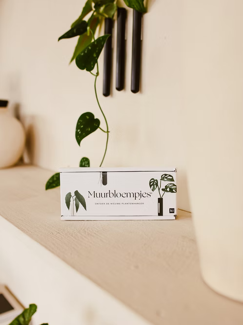 Muurbloempjes 1-pack (green)