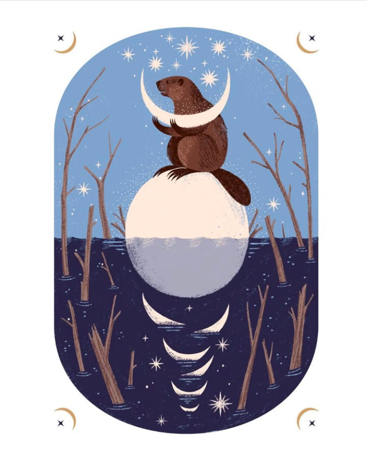 Het mysterie van de maan - Alison Davies