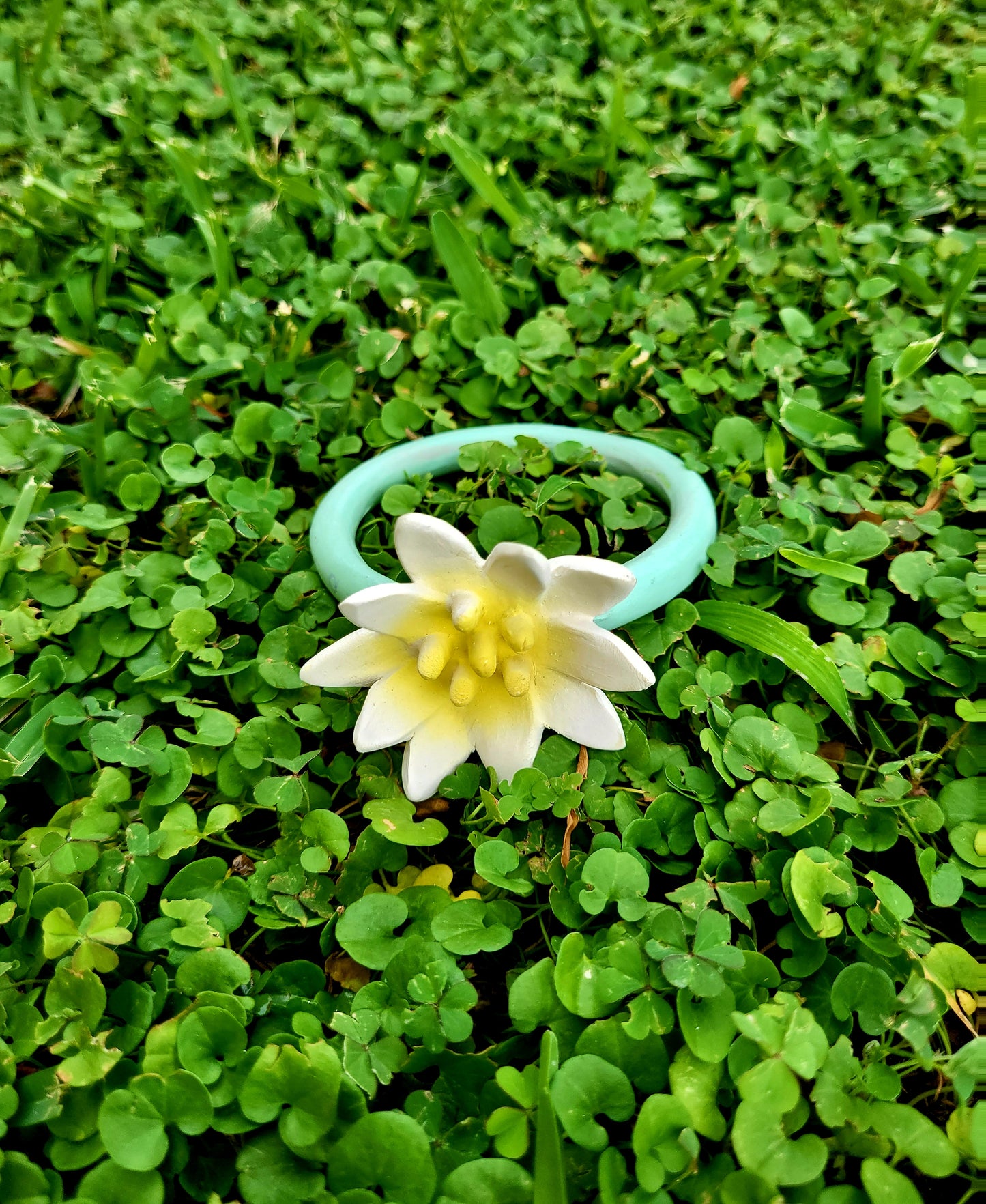 Bijtring Lotus
