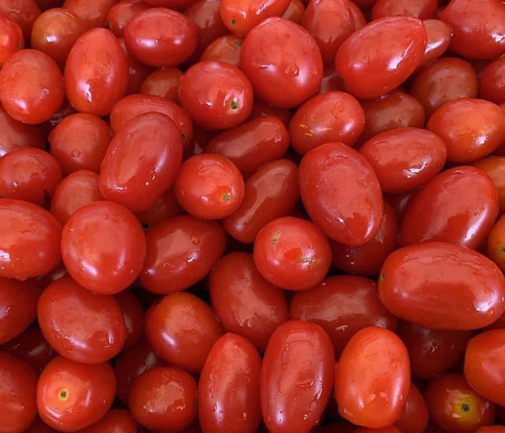 Biologische Datterini-tomaten