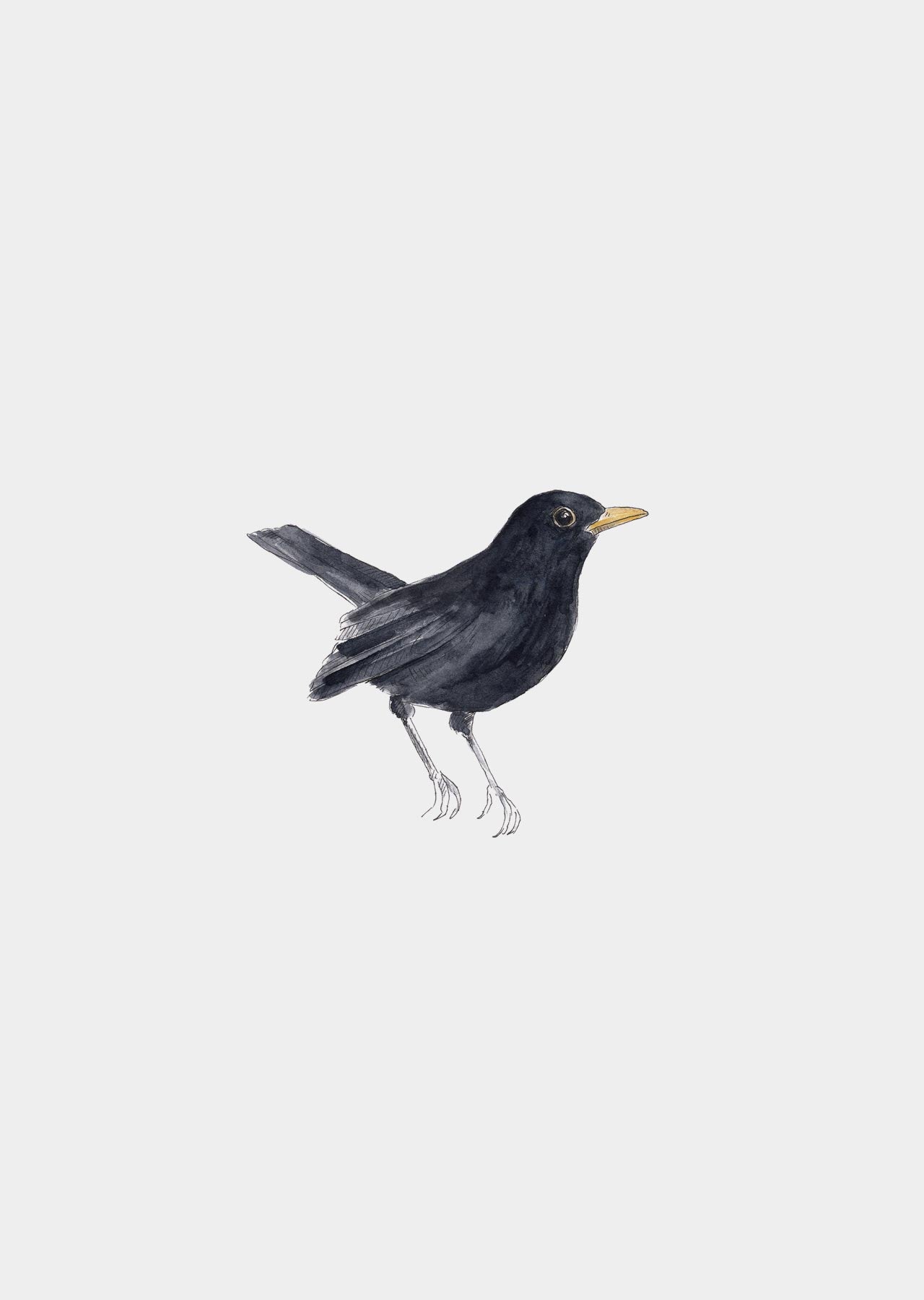 Muursticker -merel