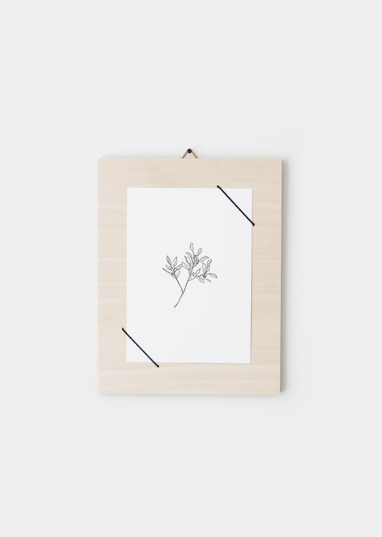 Postkaart 'Eucalyptus'