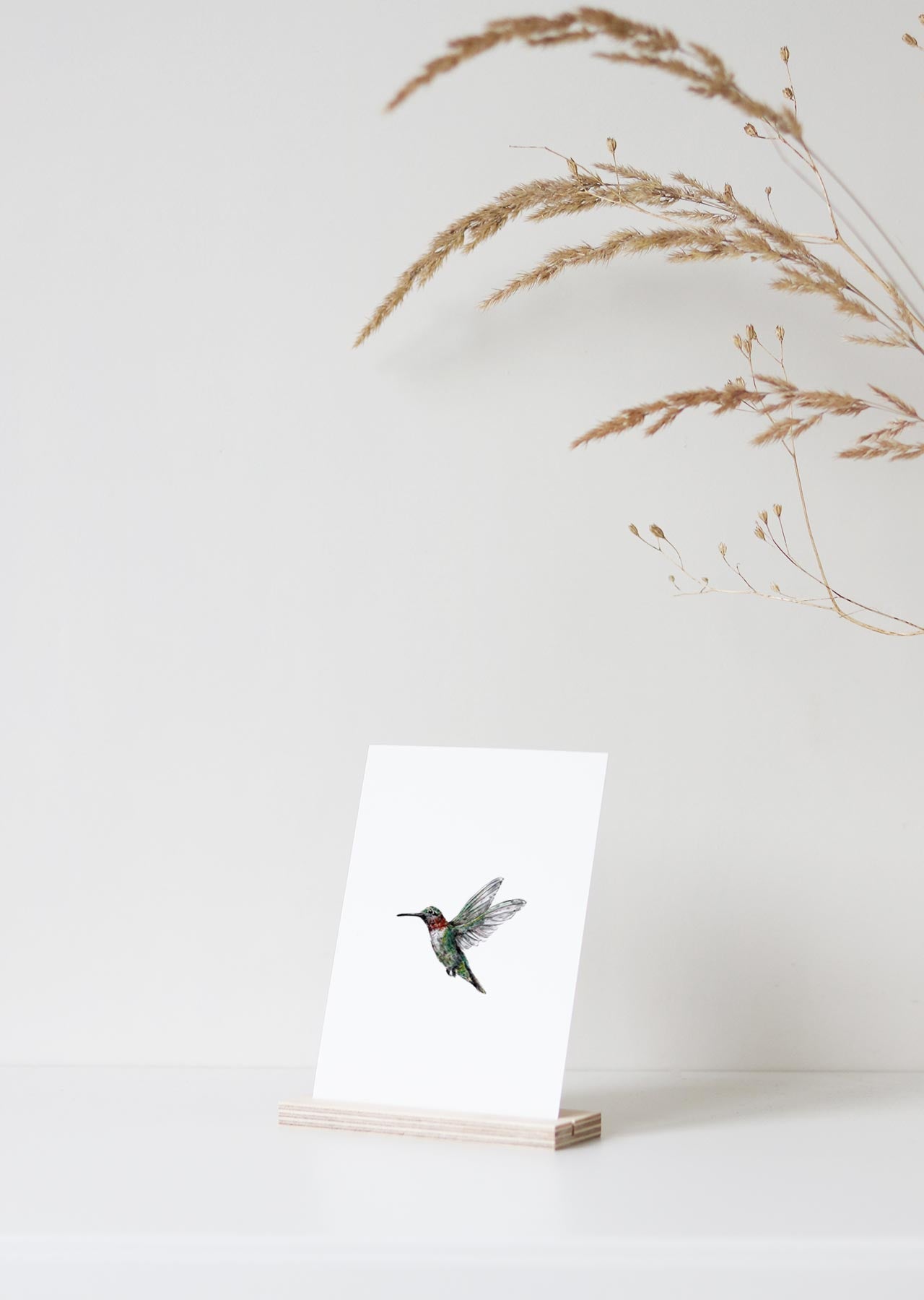 Postkaart 'Kolibrie'