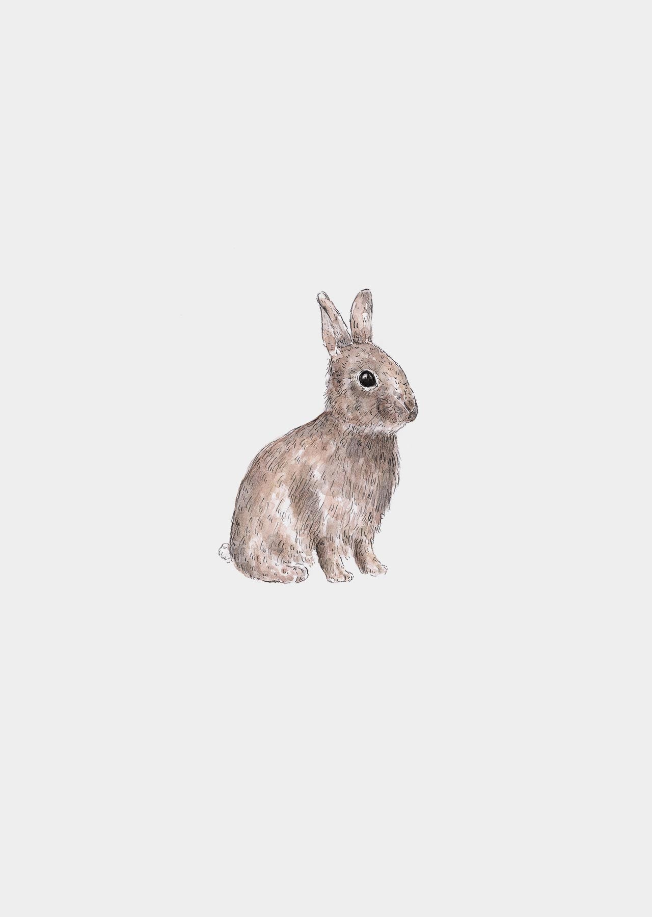 Muursticker - konijntje