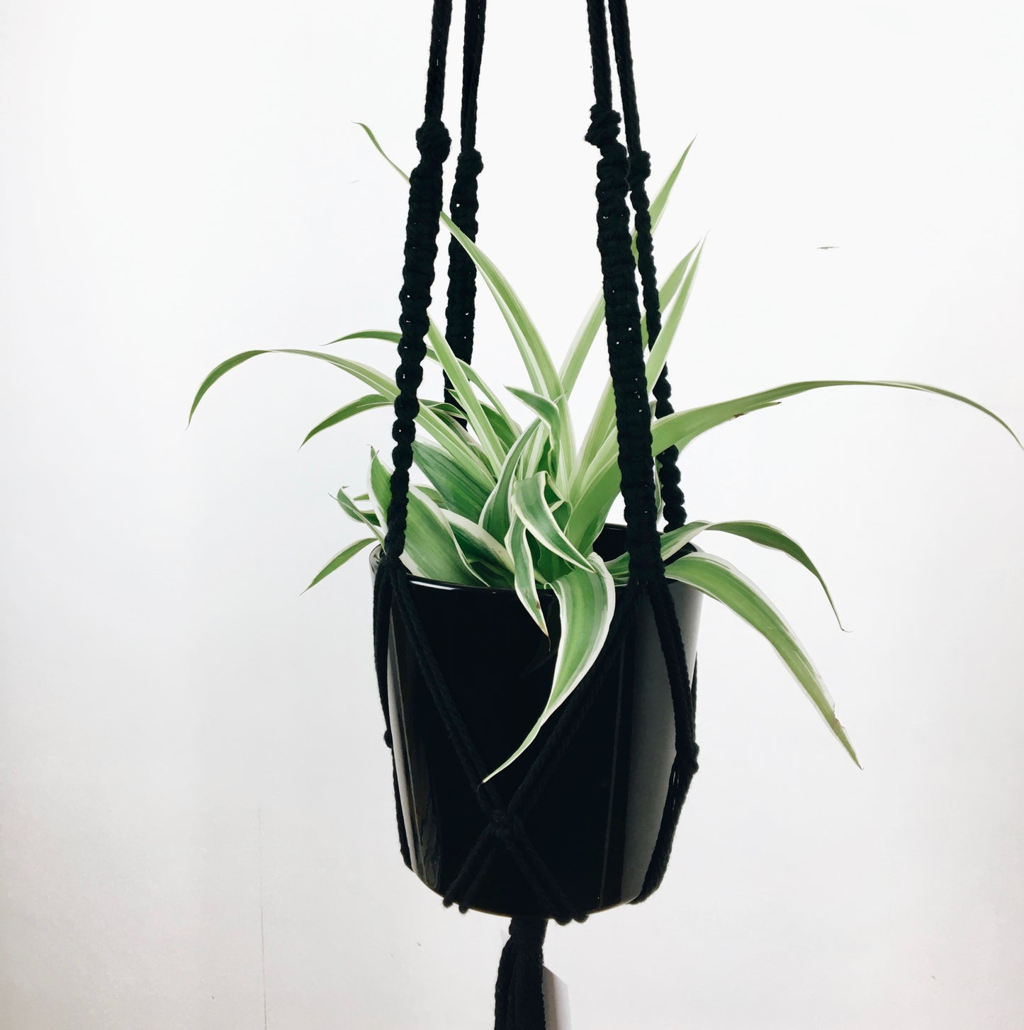 Zwarte macramé hanger