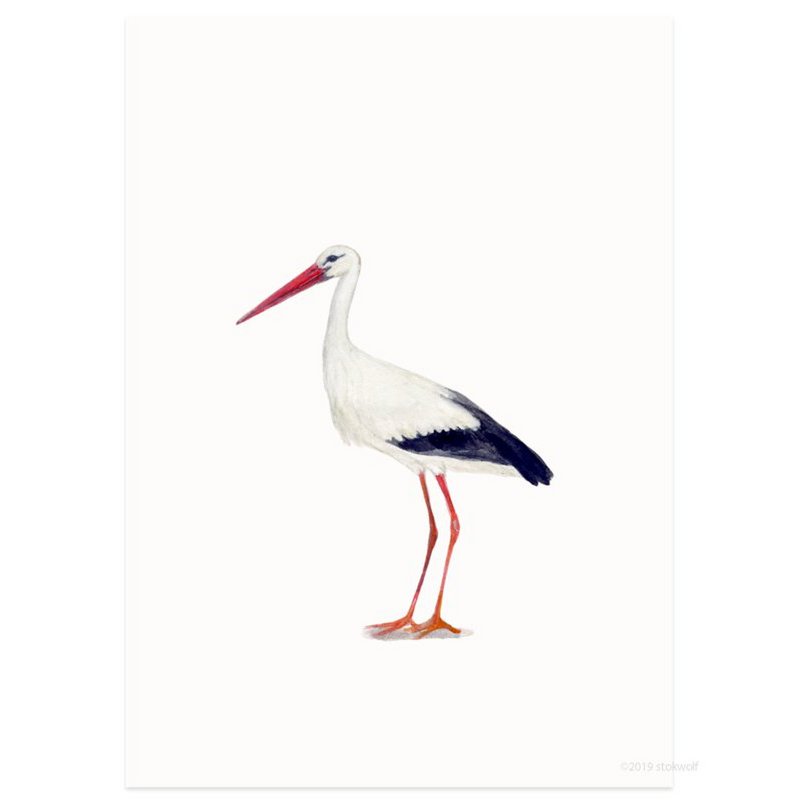 Postkaart 'ooievaar'