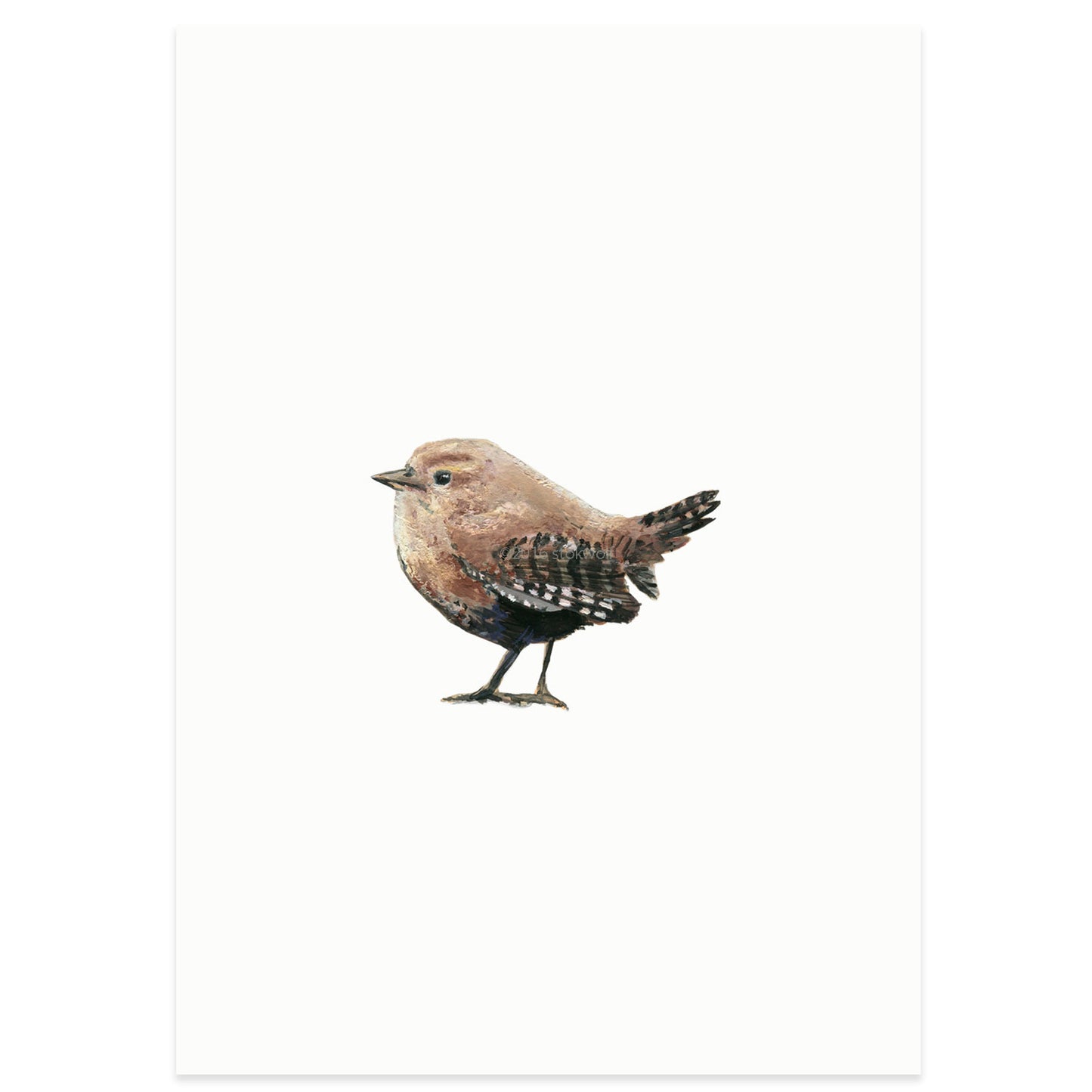 Postkaart 'Winterkoninkje'