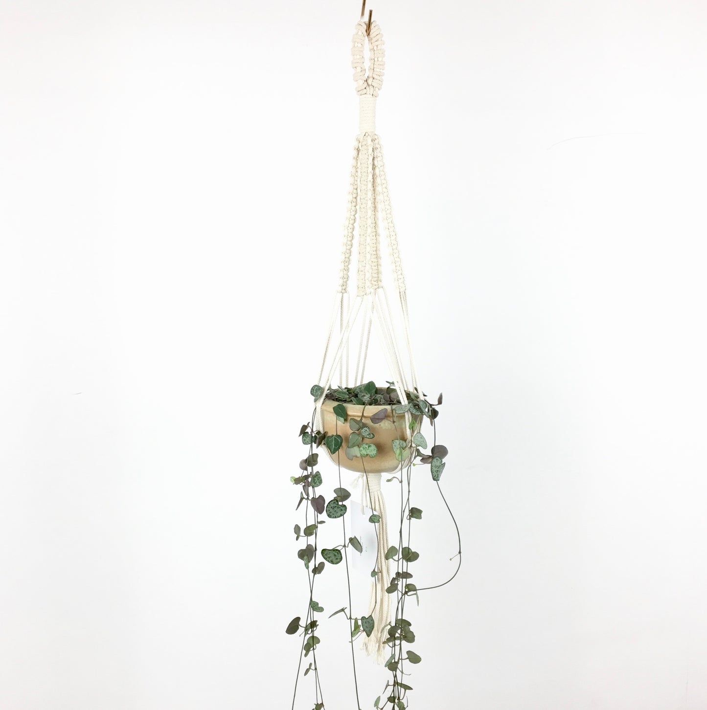 Macramé hanger - medium