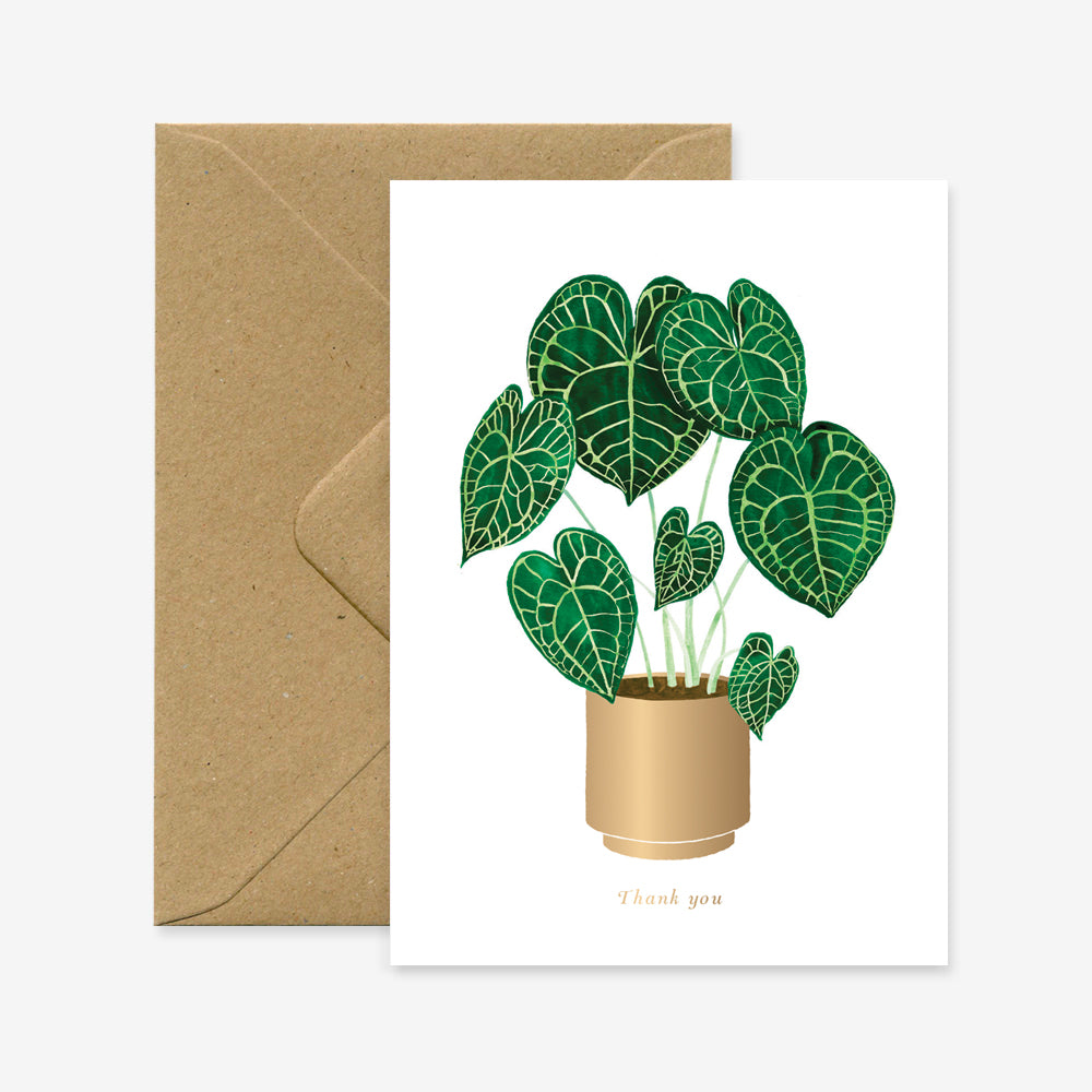 Postkaart 'Anthurium'