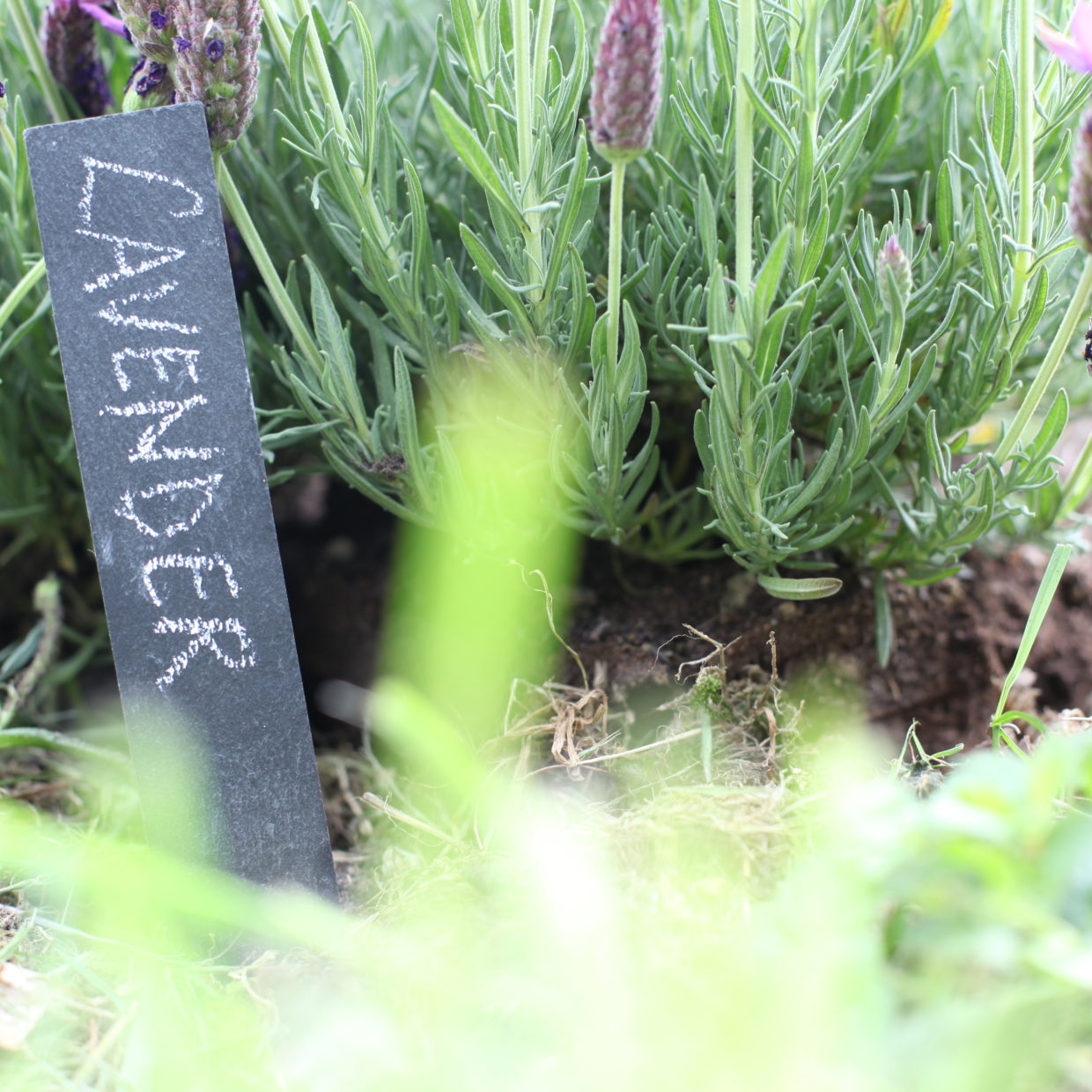 GARDENERS BOX