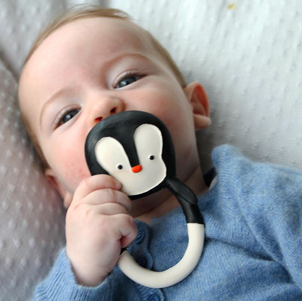 Bijtring Nui de Pinguin