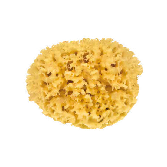 Natuurspons