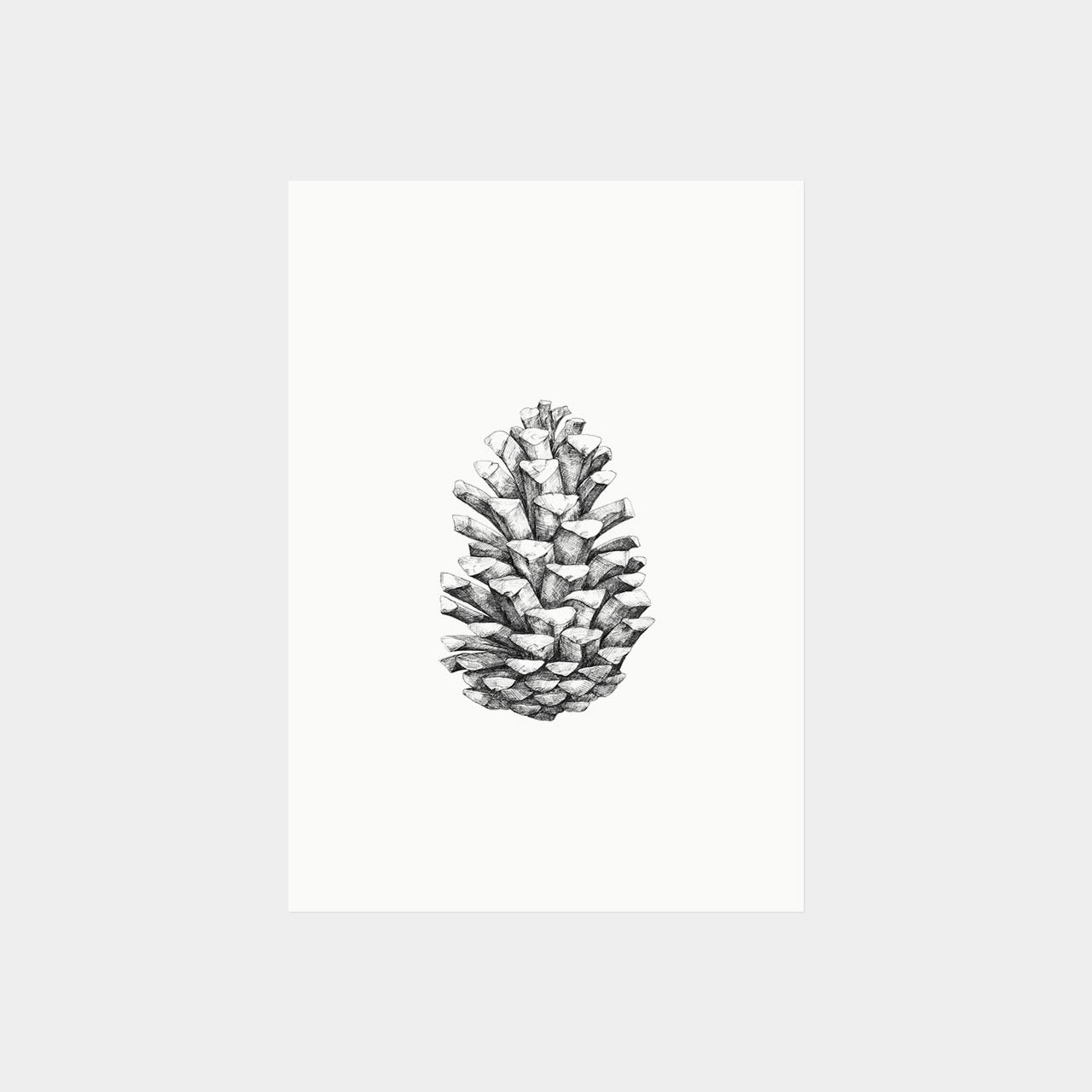 minikaartje/cadeaulabel 'dennenappel'