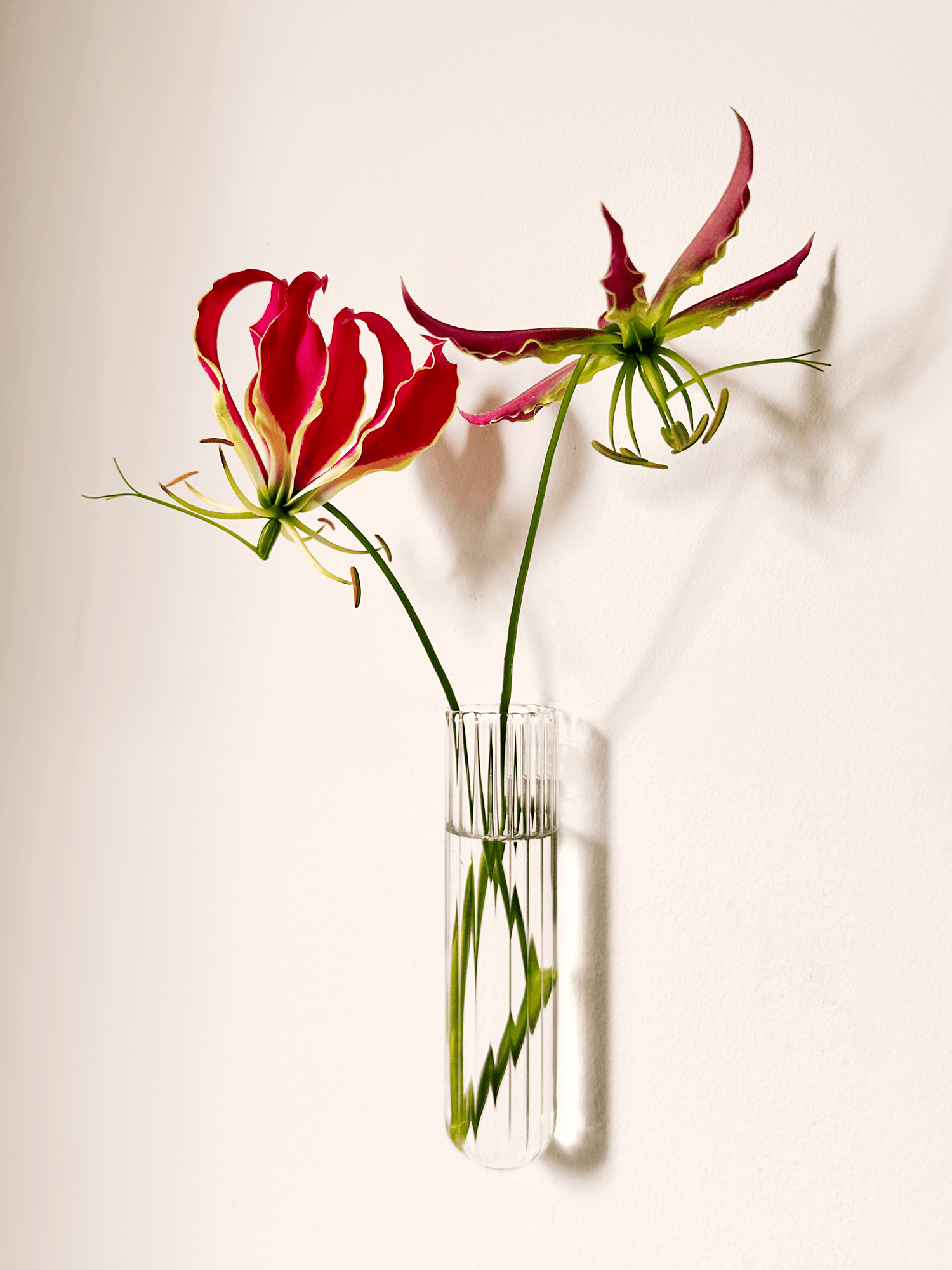 Small gifts  €0 - €25