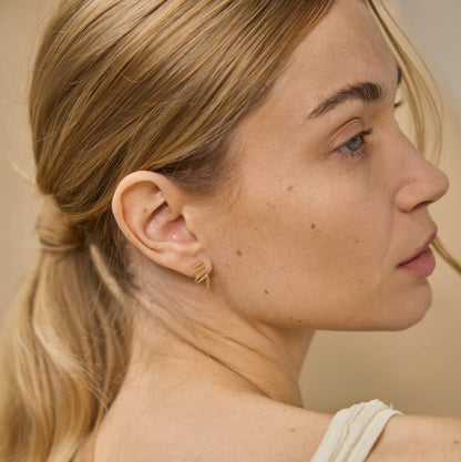 oorbellen lijsterbes