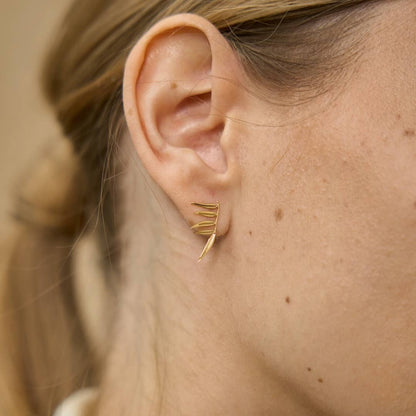 oorbellen lijsterbes