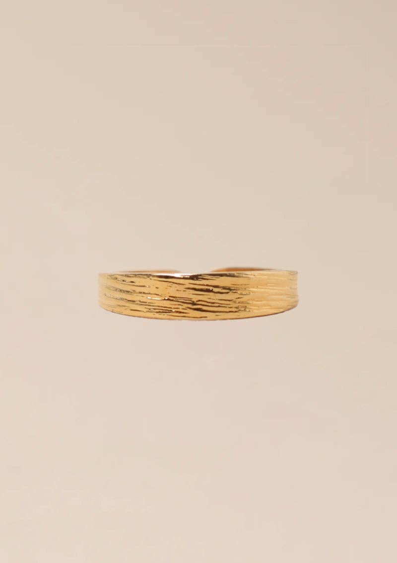 Dana Ring (small)