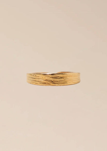 Dana Ring (small)