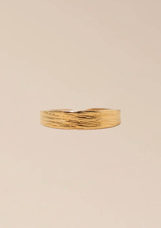 Dana Ring (small)