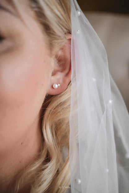 Parel Dauwdruppels. Klimop