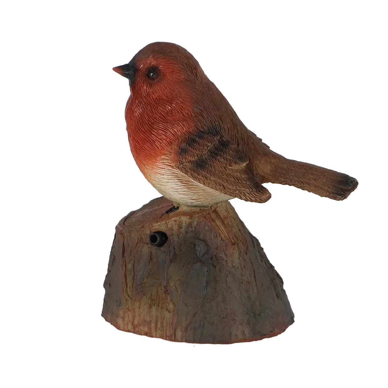 welkomsroodborstje met geluid