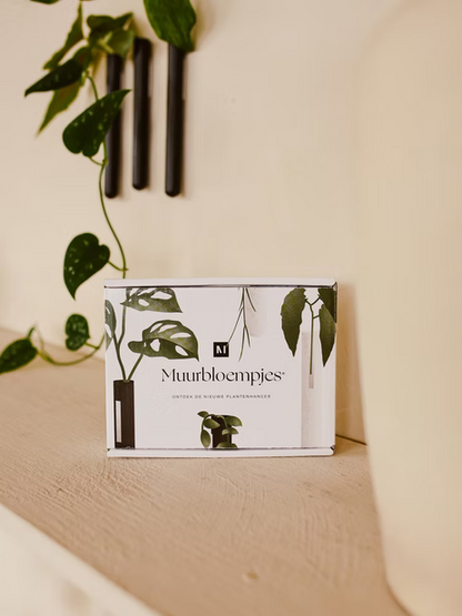 Muurbloempjes 3-pack (green)