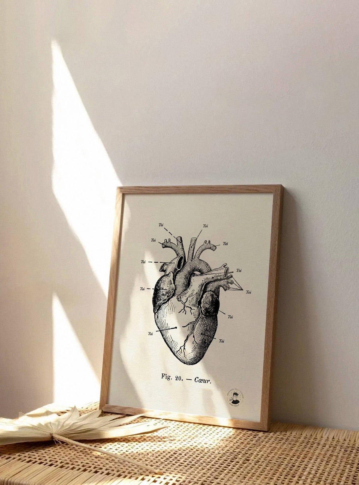 Poster Anatomie van mijn hart