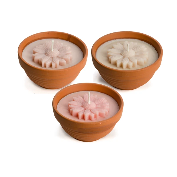 Bloem in keramieken potje voor outdoor gebruik