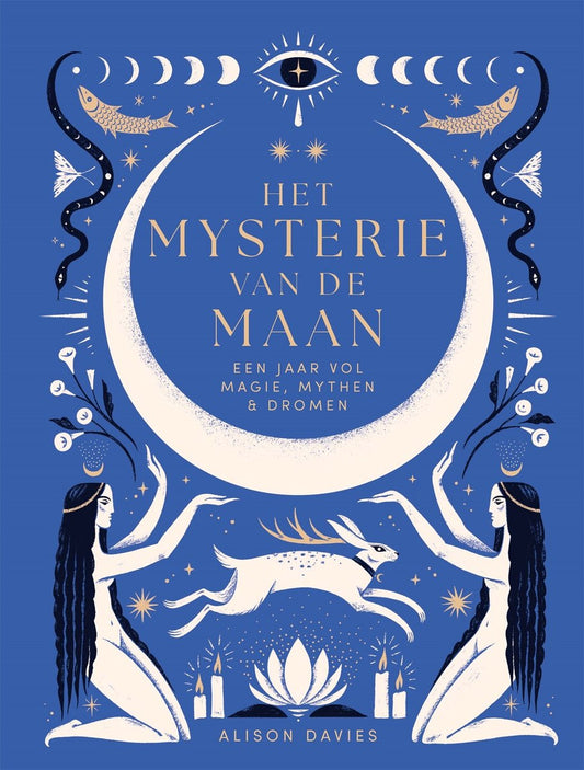 Het mysterie van de maan - Alison Davies