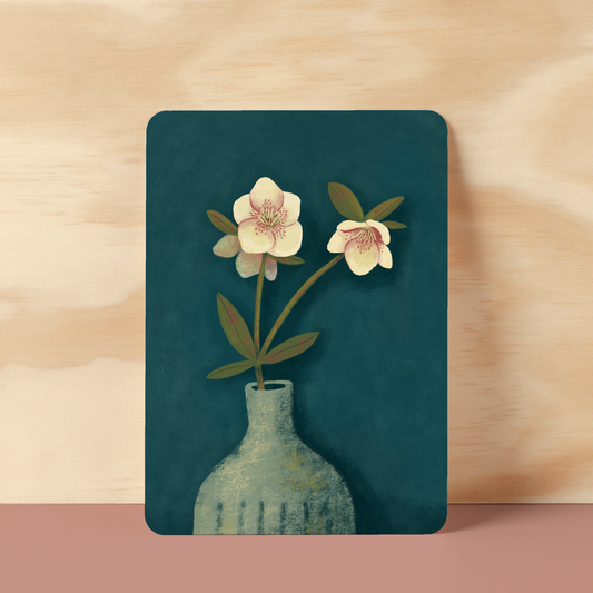 Postkaart  'Helleborus'