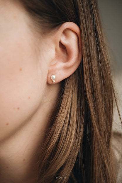 Parel Dauwdruppels. Klimop