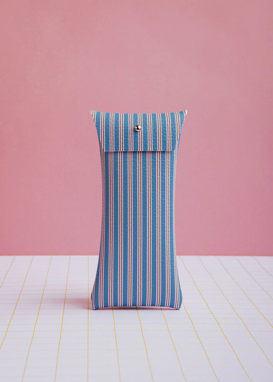 Blauw & roze gestreepte brillenhoes