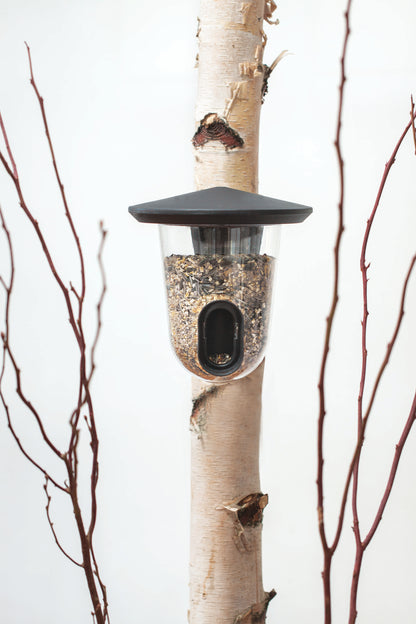 Hello FeedR - plastic bird feeder (zwart)
