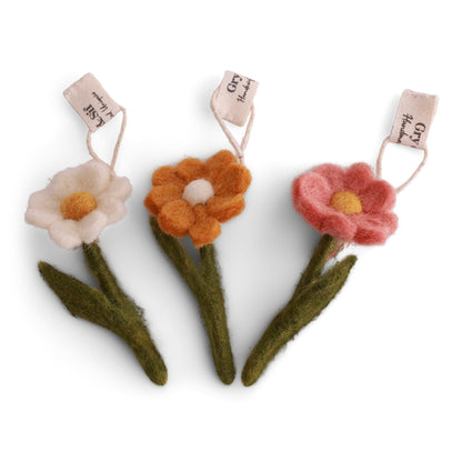 Mini anemonen - 3 stuks