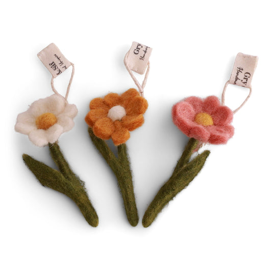 Mini anemonen - 3 stuks