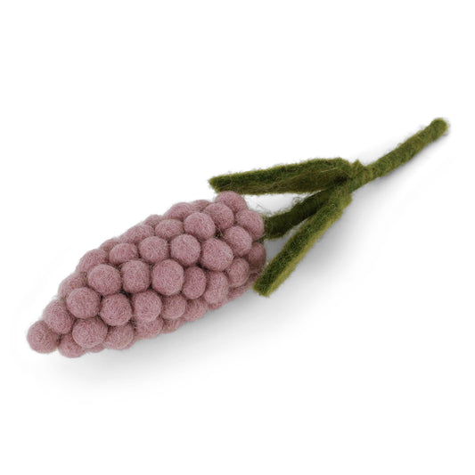 Parelhyacint - Lavendel
