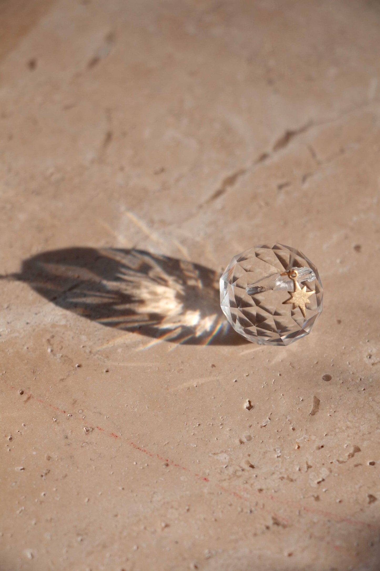 Zonnevanger ' In gedachten, geen vaarwel'