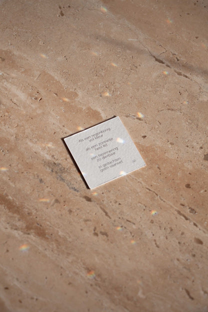 Zonnevanger ' In gedachten, geen vaarwel'