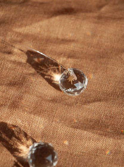 Zonnevanger ' Schijn en geniet'