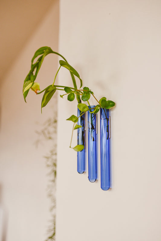 Muurbloempjes 3-pack (light blue)