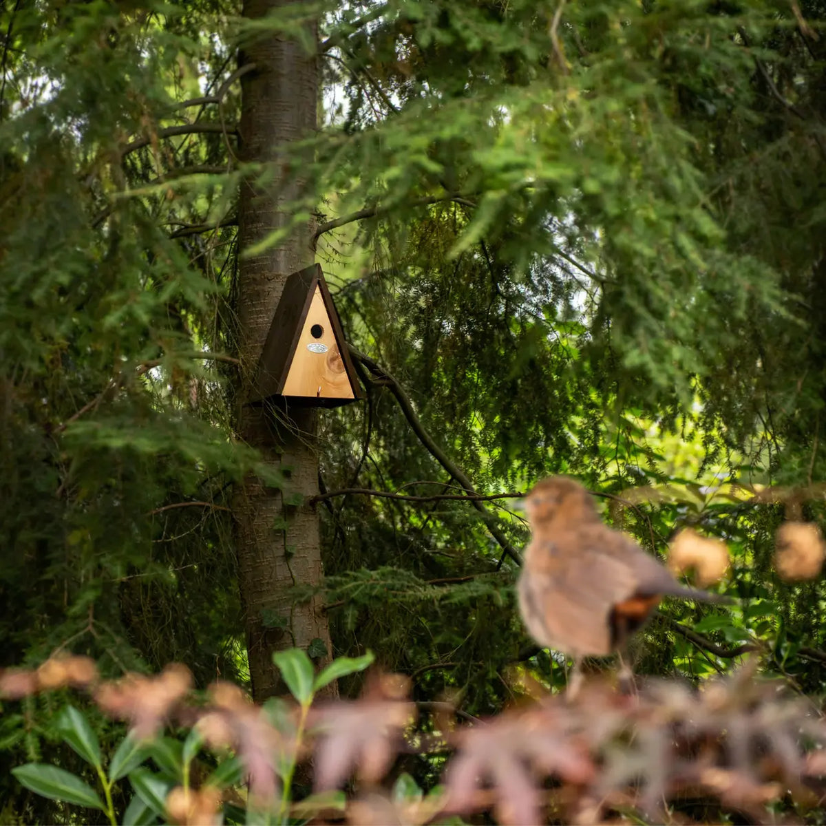 Nestkast Wigwam