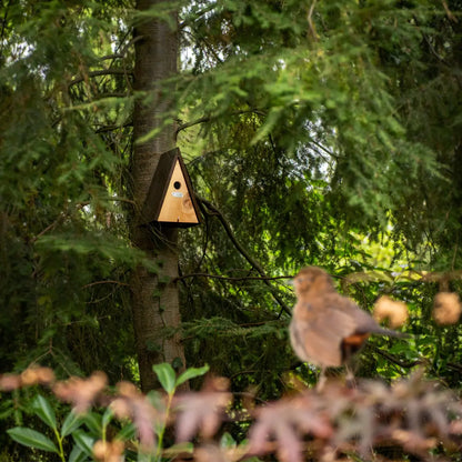 Nestkast Wigwam