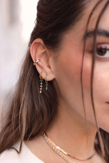 Mini glanzende creool - Basilicum