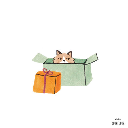 Kerstkaart kat in doos