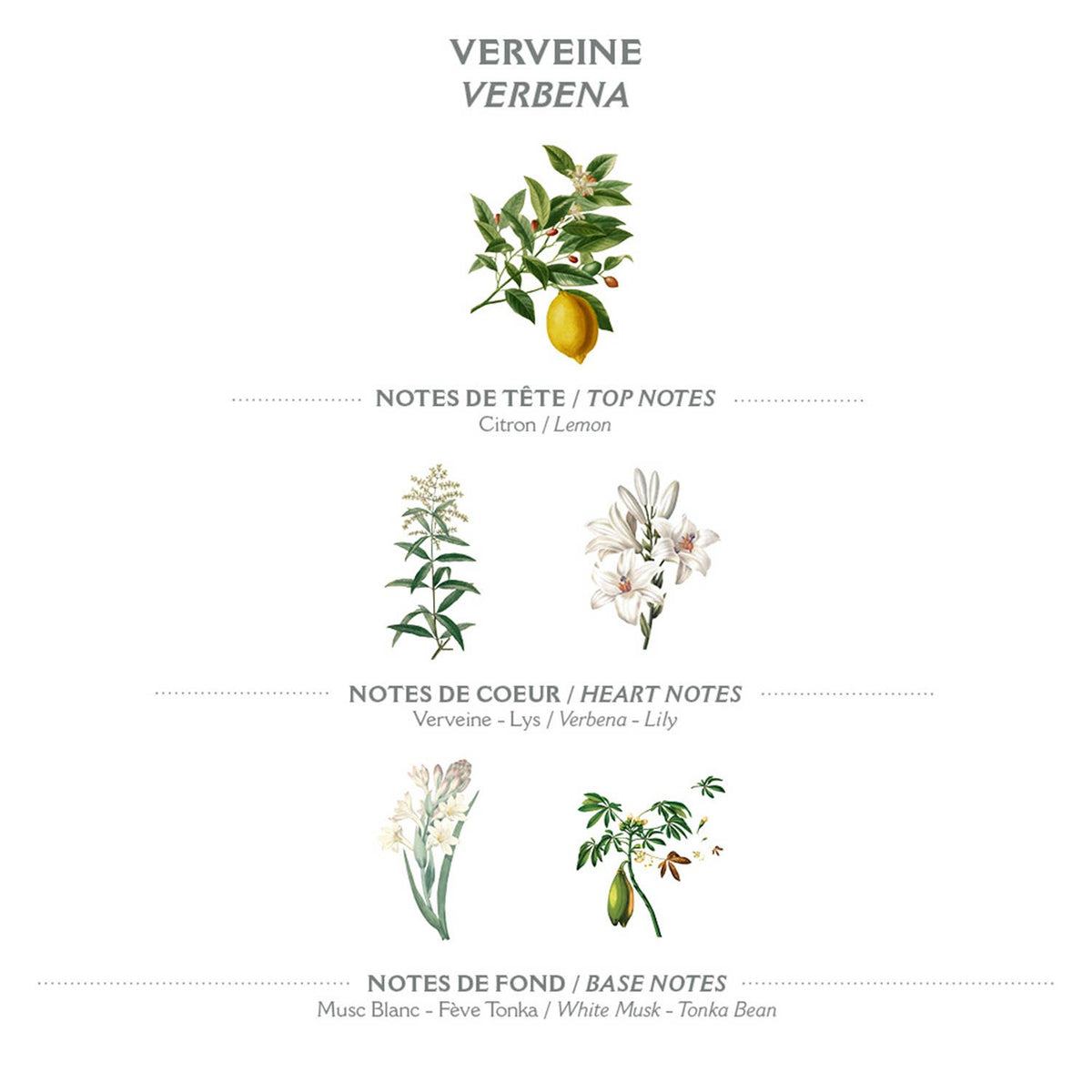 Handcrème Verbena I 75 ml