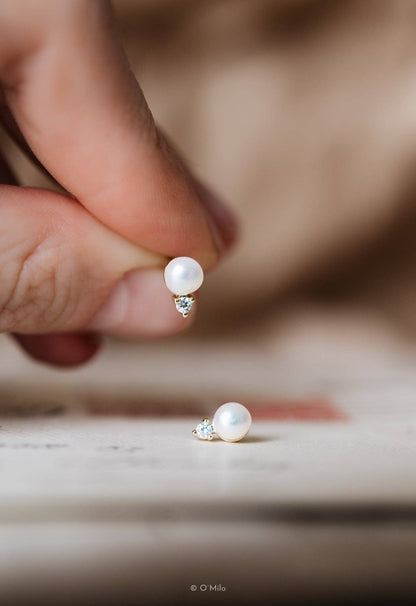 Parel Dauwdruppels. Klimop