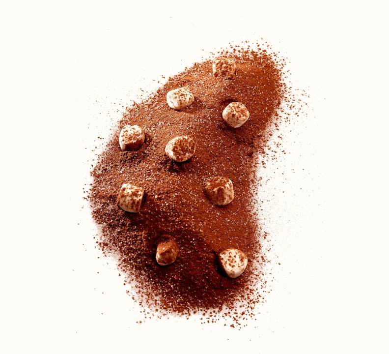 Fluffy Marshmallow Chocolate Powder