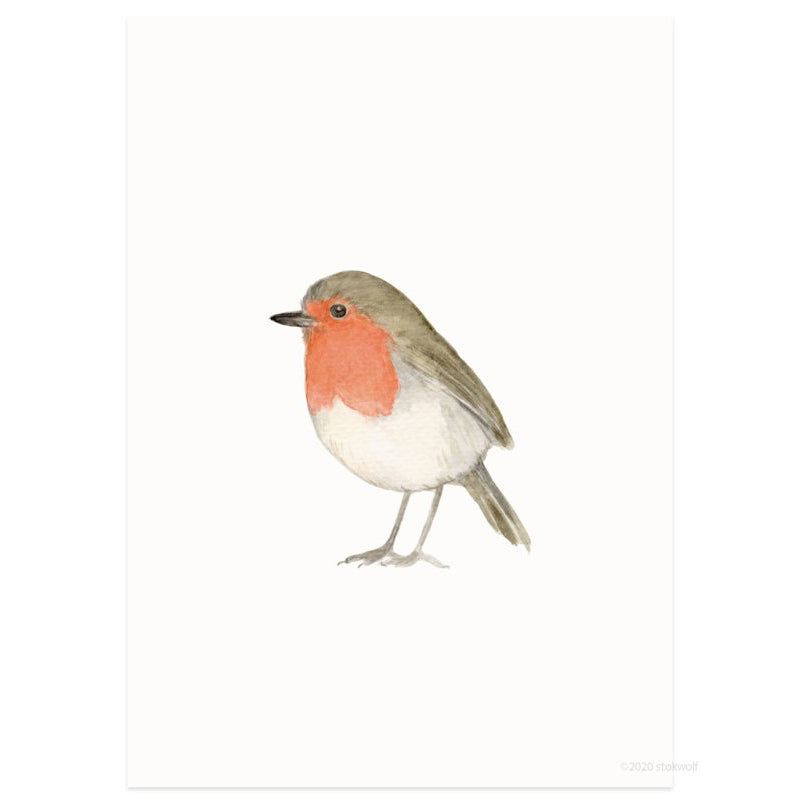 Postkaart 'robin - roodborstje'
