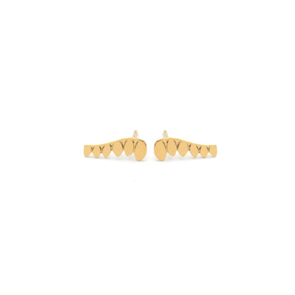 Oorbellen - Veer